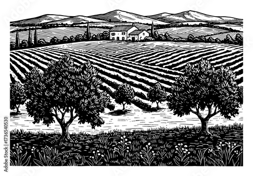 Olive Trees Field House and Mountains Landscape Rural Scene Black and White Outline Line Art Drawing