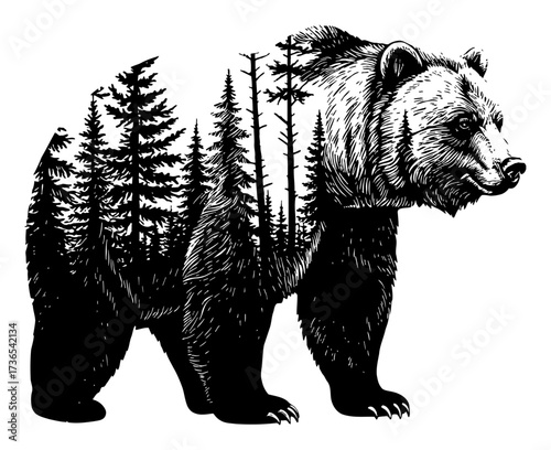 Double Exposure Forest Tree Landscape Inside Wild Bear Silhouette Black and White Outline Line Art Drawing