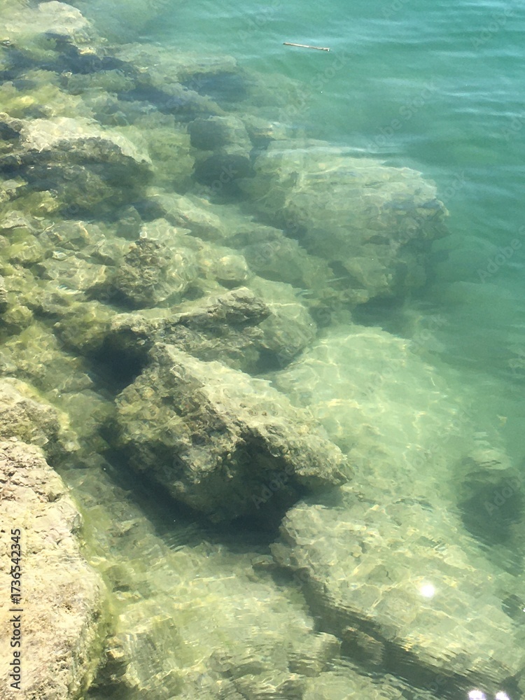 Fototapeta premium Clear water over rocky bottom creating a tranquil aquatic scene