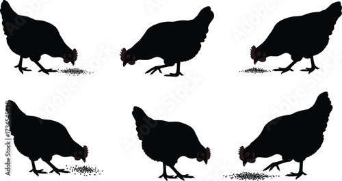 Black chicken silhouettes pecking ground vector illustration, farm poultry feeding behavior, rural agriculture livestock design, domestic bird animal graphic art