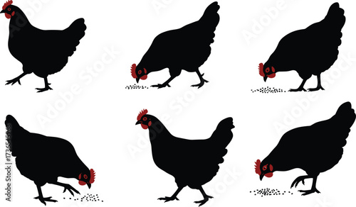 Black chicken silhouettes pecking ground vector illustration, farm poultry feeding behavior, rural agriculture livestock design, domestic bird animal graphic art