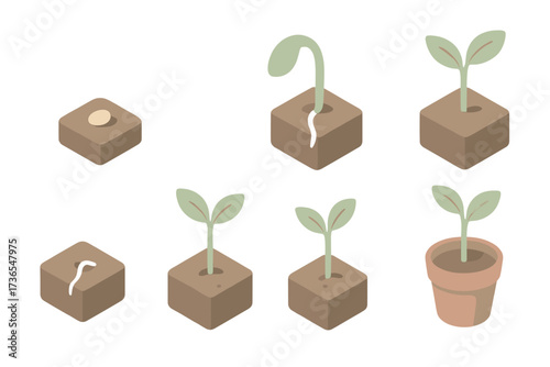 Seedling Growth Stages. Isometric vector illustration set Seedling Growth Stages: tiny seed in soil, germinated seed with root,