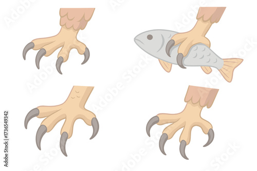 Owl's Captured Prey. Isometric vector illustration set talons grip prey capture: owl claws grasping, fish in talon hold, predator
