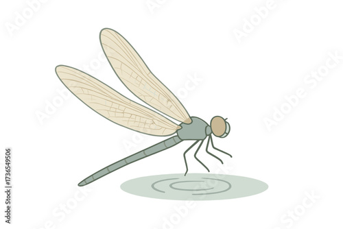 Dragonfly Hovering Elegance. Isometric vector illustration set dragonfly wing agile hover: dragonfly side view flight, transparent