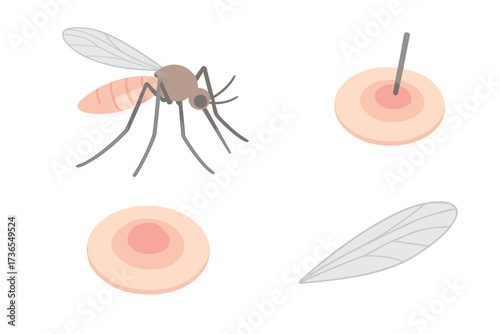 Mosquito Bite Infographic. Isometric vector illustration set mosquito proboscis bite itch: mosquito side view perched, needle-like