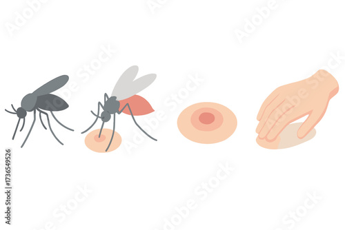 Mosquito Bite Illustration. Isometric vector illustration set mosquito proboscis bite itch: insect side silhouette, proboscis