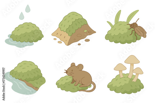 Moss Ecosystem Roles. Isometric vector illustration set Moss ecosystem roles: moss retaining water, moss preventing erosion, moss