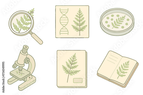 Fern Scientific Study. Isometric vector illustration set Fern scientific study: fern leaf under magnifier, fern DNA research chart