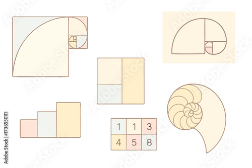 Fibonacci Spiral Design. Isometric vector illustration set Fibonacci spiral basics: golden rectangle layout, spiral curve overlay,
