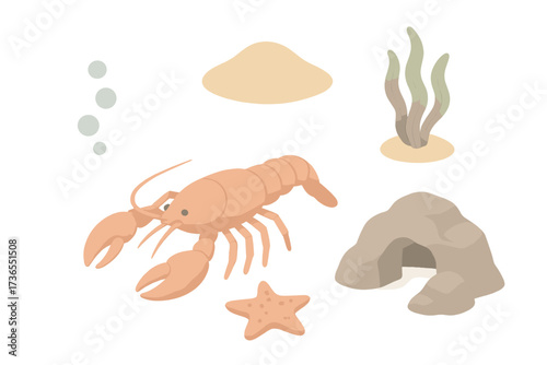 Ocean Floor Lobster. Isometric vector illustration set Ocean floor lobster: lobster crawling, sandy seabed, seaweed strand, rocky