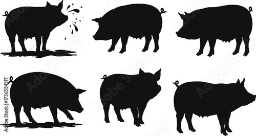 Pig silhouettes in various poses vector illustration, farm animal artwork, rural agriculture concept, livestock design, traditional farming culture, black graphic art