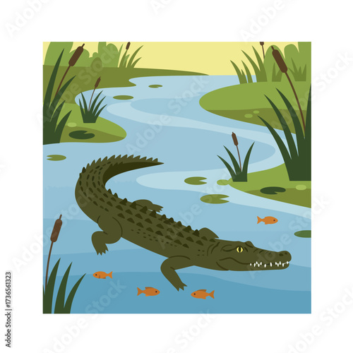 A large green cartoon alligator with a long toothy snout, scaly skin, and a powerful ridged tail, in a flat vector style.