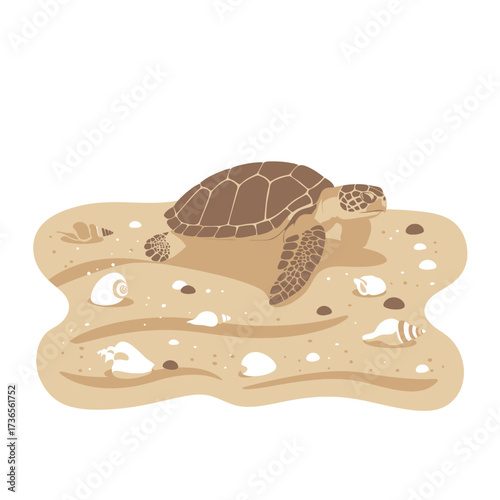 Illustrated Sea Turtle Resting on Sandy Beach with Shells.