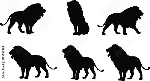Silhouette lions standing sitting roaring walking majestic mane wild animal collection powerful posture regal wildlife vector illustration design