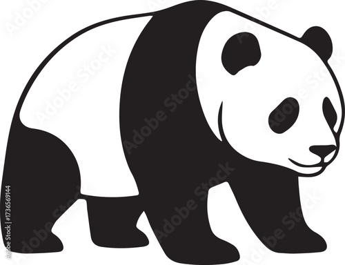 Walking giant panda black and white animal vector eps illustration

