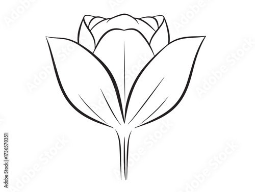 Beautiful tulip icon with refined clean minimalist line art