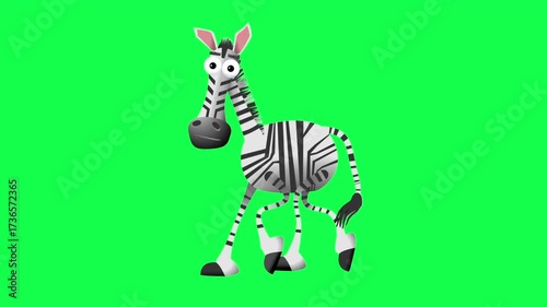 Funny Cartoon Zebra Walking Loop Animation on Green Screen Background