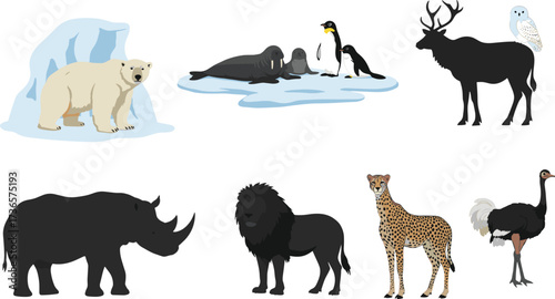 Wildlife animal vector illustration featuring polar bear, walrus, penguin, deer, owl, rhino, lion, cheetah, ostrich in diverse habitat design