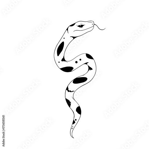 Boa Constrictor. Boa Constrictor simple black and white line art vector logo