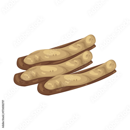 Illustration of Three fresh razor clams