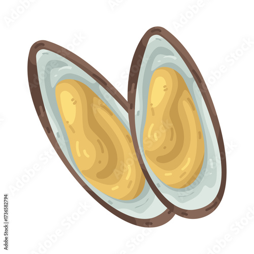 Illustration of Two Open Mussel Shells