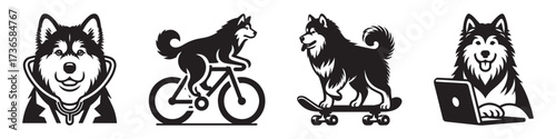 Modern Minimalist Alaskan Malamute With Stethoscope Icon, Flat Silhouette of a Medical Pet Animal Vector for Veterinary Illustration Design
