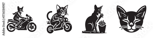 Modern Minimalist Abyssinian Cat Riding Motorcycle Icon, Flat Silhouette of a Cool Pet Animal Vector for Biker Illustration Design