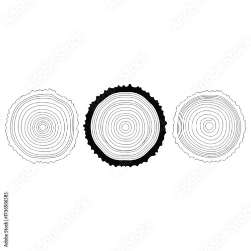 Three Hand Drawn Tree Ring Cross Sections One Black One White tree rings wood