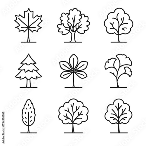 Elm autumn pine ginkgo chestnut beech icons birch vector icon tree