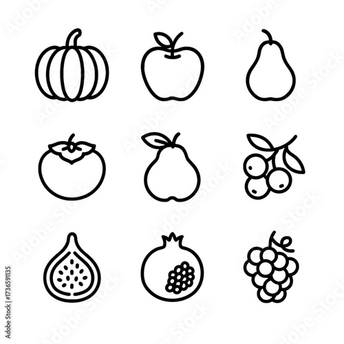 Pomegranate autumn fruit icon persimmon quince cranberry icons vector grape fig pear