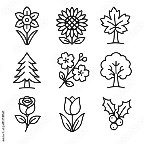 Daffodil tree cherry seasonal icon flora tulip holly blossom vector icons pine