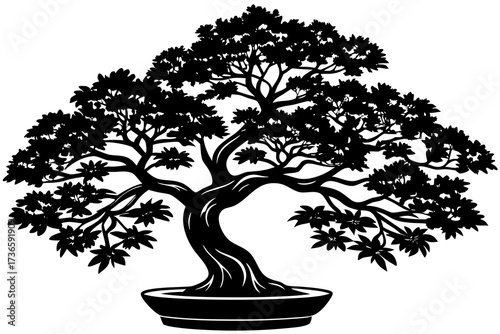 Black silhouette of a bonsai tree in a pot black and white