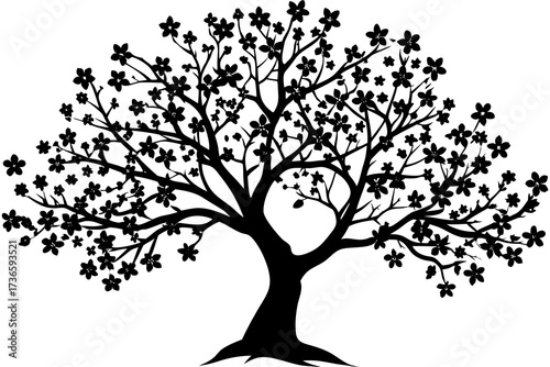 Black silhouette of a flowering cherry blossom tree