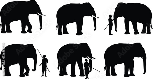 Elephant interaction silhouette set, blind men parable concept, cultural illustration vector, black elephant poses, symbolic perspective artwork, white background, educational design