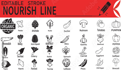 Nourish Line Vegetable Icons – Editable Stroke Organic Food Vector Set for Health, Culinary, and Educational Use