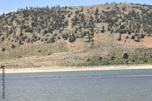Maroc: entre Ifrane et Midelt