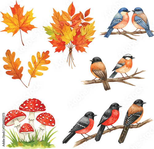 Autumn birds and leaves watercolor collection for seasonal designs