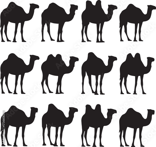 Twelve black camel silhouettes arranged in three rows of four on a white background animal