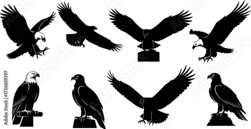 Set of majestic eagle silhouettes in flight and perched positions, ideal for wildlife, freedom, and patriotic themed vector illustrations