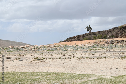 Maroc: entre Ifrane et Midelt
