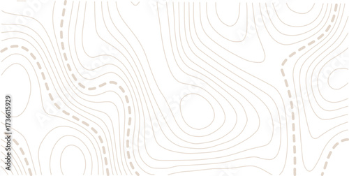 Abstract topo contour map on white background, Topographic map Topographic contour lines map seamless pattern. Geographic mountain relief diagram line wave carve pattern