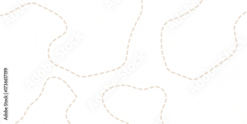 Abstract topo contour map on white background, Topographic map Topographic contour lines map seamless pattern. Geographic mountain relief diagram line wave carve pattern