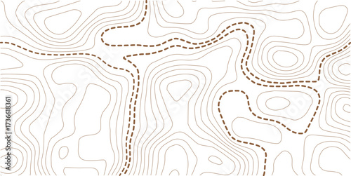 Abstract topo contour map on white background, Topographic map Topographic contour lines map seamless pattern. Geographic mountain relief diagram line wave carve pattern