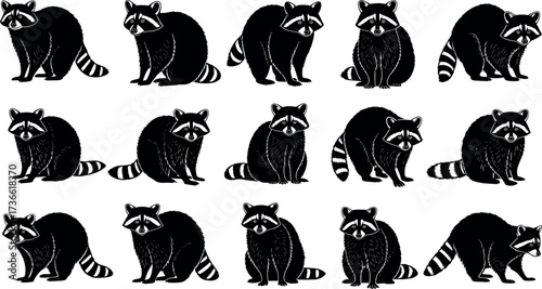 Spot the Odd Raccoon in a Group of Identical Animals – Black and White Vector Puzzle for Visual Recognition Challenge