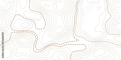 Abstract topo contour map on white background, Topographic map Topographic contour lines map seamless pattern. Geographic mountain relief diagram line wave carve pattern