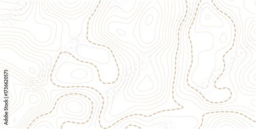 Abstract topo contour map on white background, Topographic map Topographic contour lines map seamless pattern. Geographic mountain relief diagram line wave carve pattern