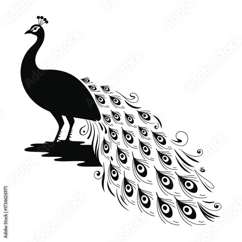 Elegant silhouette of a peacock with elaborate tail feathers