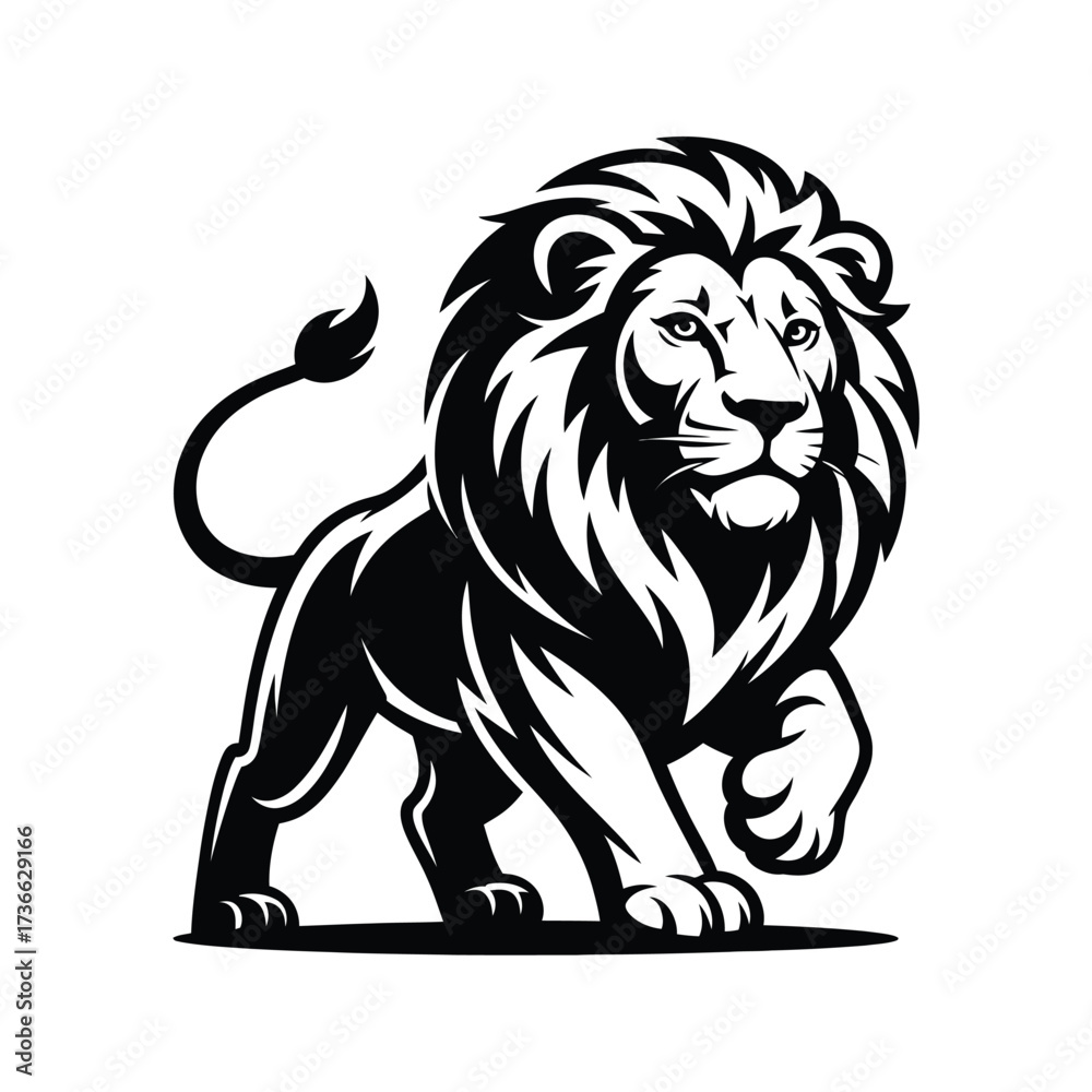 Fototapeta premium Majestic lion walking with flowing mane black and white illustration