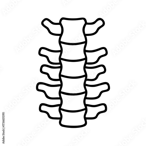 Cervical spine anatomy illustration for medical education and chiropractic resources with detailed outline view
