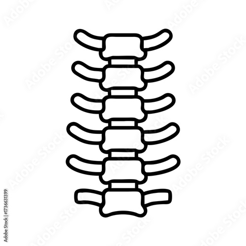 Cervical spine anatomy vector illustration for medical education and chiropractic health and wellness design